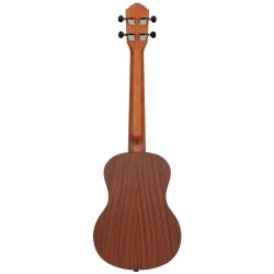 Ortega RU5-TE Tenor Ukulele