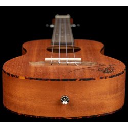 Ortega RU5MM-TE Tenor Ukulele - Sapele Natural
