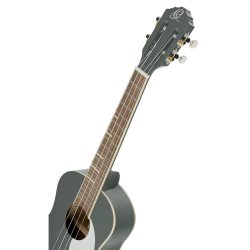 Ortega RUGA-PLT Tenor Ukulele inkl. Gigbag