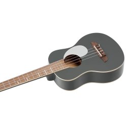 Ortega RUGA-PLT Tenor Ukulele inkl. Gigbag