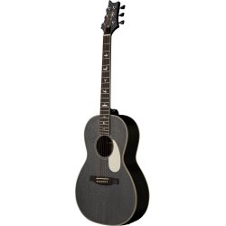 PRS SE Parlor PPE20DG Dog Hair - Western Guitar med pickup