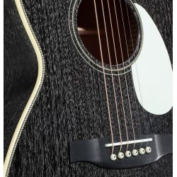 PRS SE Parlor PPE20DG Dog Hair - Western Guitar med pickup