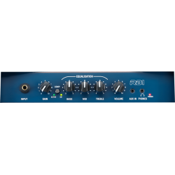 Laney Richter RB1 - Bas Combo