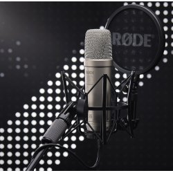 Rde NT1 5th Gen XLR + USB-C Studio mikrofon - Slv