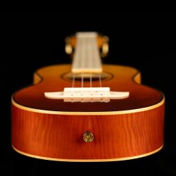 Ortega RUPR-TQB Tenor Ukulele