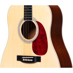 Santana Player D11 Western guitar - Natur
