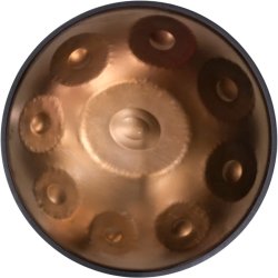 Shelter HP55 D Handpan - 9 toner