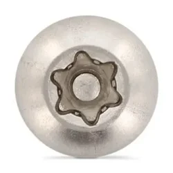 Sikkerhedsskrue TX30 - M6