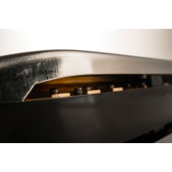 Hohner 560/20 Special 20 ProPack (C + G + A)