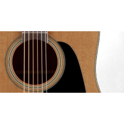 Takamine P1DC - Western guitar med pickup og cutaway inkl. Hardcase - Natur