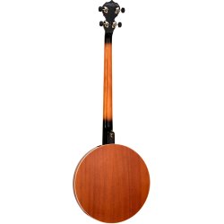 Tanglewood TUB4 4 Strenget Banjo med Remo Weatherking Skind