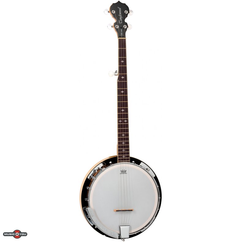 Tanglewood TWB18M5 5 String Banjo, 18 Brackets, Remo Ivory Head