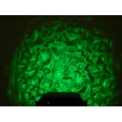 Eurolite WF-30 LED Vand Lyseffekt