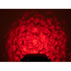 Eurolite WF-30 LED Vand Lyseffekt