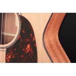 Furch Blue Gc-CM Masters Choice Western guitar med gigbag