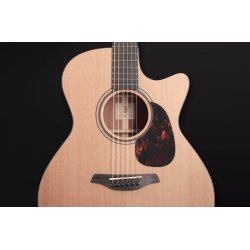 Furch Blue Gc-CM Masters Choice Western guitar med gigbag