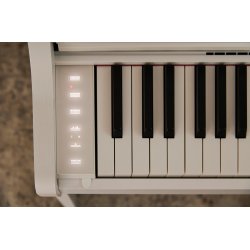 Casio AP-300 Celviano - El Klaver - Hvid