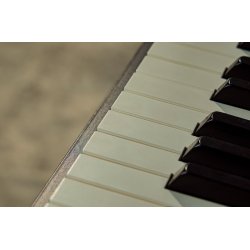 Casio AP-750 Smart Hybrid Celviano - El Klaver - Brun