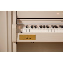 Casio AP-750 Smart Hybrid Celviano - El Klaver - Gr