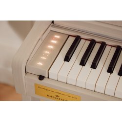 Casio AP-750 Smart Hybrid Celviano - El Klaver - Gr
