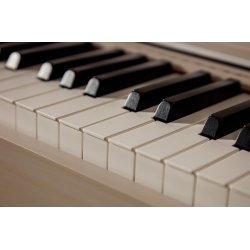 Casio AP-750 Smart Hybrid Celviano - El Klaver - Gr