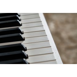 Casio AP-750 Smart Hybrid Celviano - El Klaver - Hvid