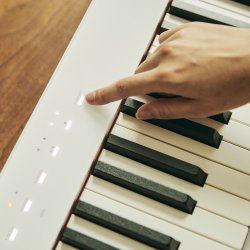 Casio Privia PX-S1100 Stagepiano med ben - Hvid