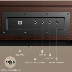 Donner Oura R300 El klaver Bundle - Valn�d