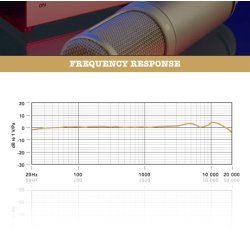 RDE K2 Rrmikrofon med kasse