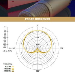 RDE K2 Rrmikrofon med kasse