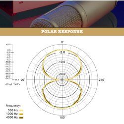 RDE K2 Rrmikrofon med kasse