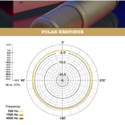 RDE K2 Rrmikrofon med kasse