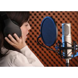 RDE K2 Rrmikrofon med kasse