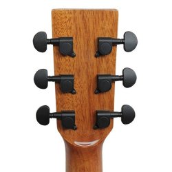 Santana LA-90-V2 - Western guitar  - Sunburst