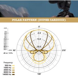RDE VideoMic Pro Rycote